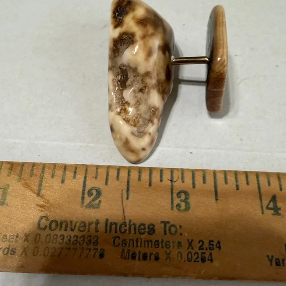 Scrimshaw wildlife engraving on a portion of a Whale’s tooth - Picture 5 of 6